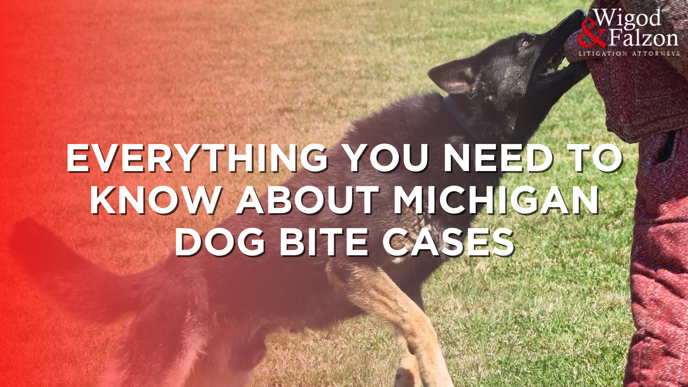 Everything You Need to Know About Michigan Dog Bite Laws